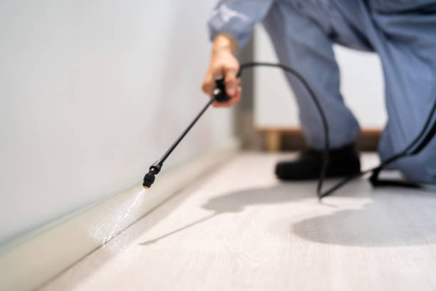 Licensed Pest Control service in Forest City, PA - Show Me Pest Control