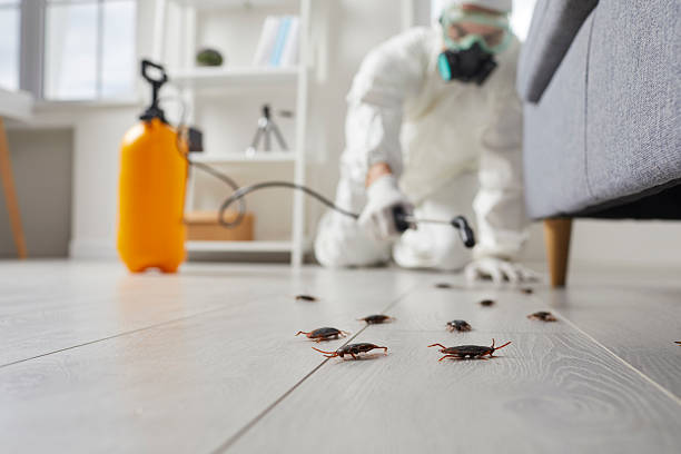 Commercial Kitchen Cockroach Control in Forest City